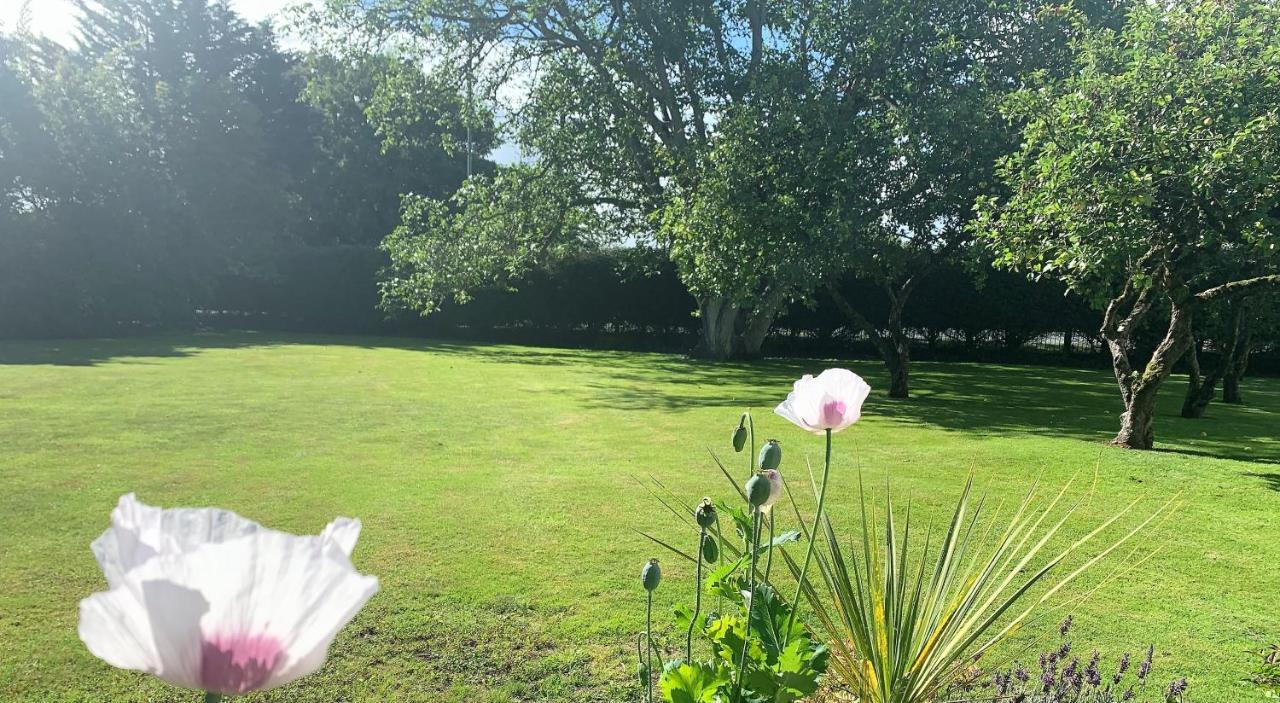 Hope Orchard Bed & Breakfast Cheltenham Luaran gambar