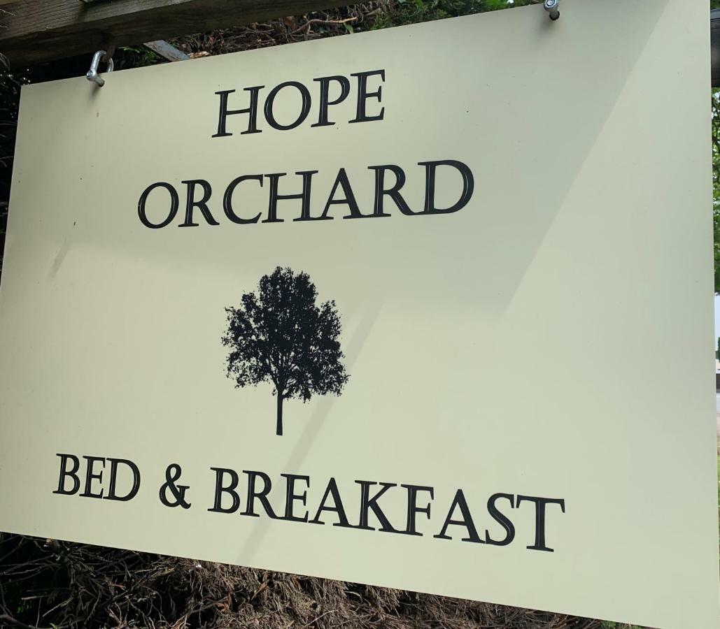 Hope Orchard Bed & Breakfast Cheltenham Luaran gambar