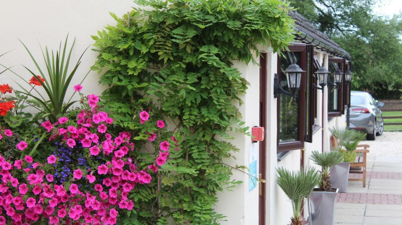 Hope Orchard Bed & Breakfast Cheltenham Luaran gambar